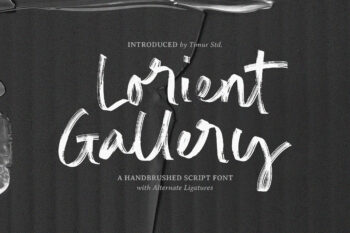 Lorient Gallery - Handbrushed Script Font