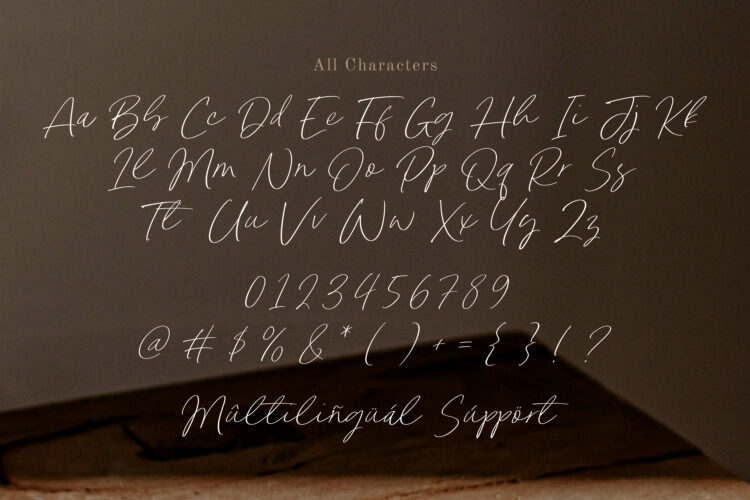 Rustic Buffet - Modern Handwritten Script Font - Image 6