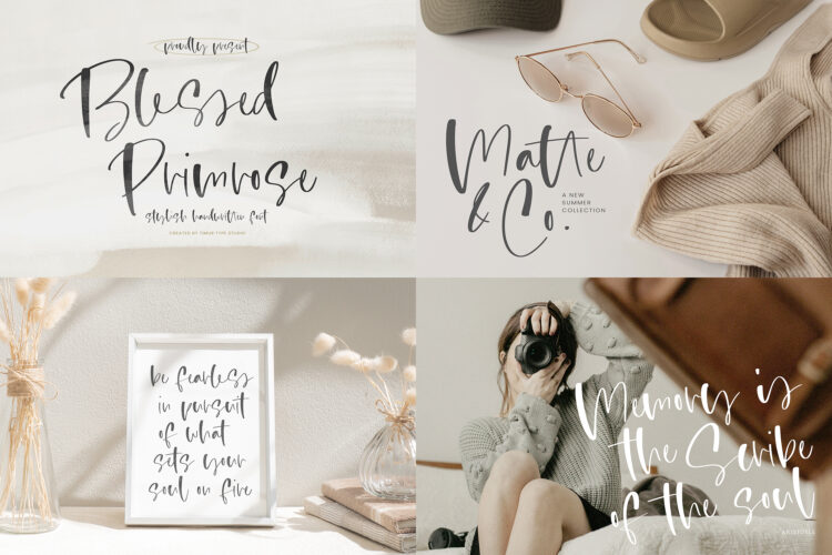 The Ultimate 250 Font Bundle - Image 2