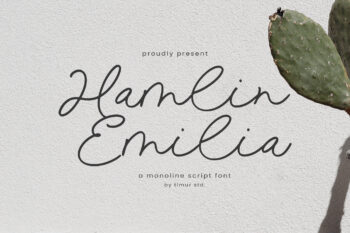 Hamlin Emilia - Monoline Script Font