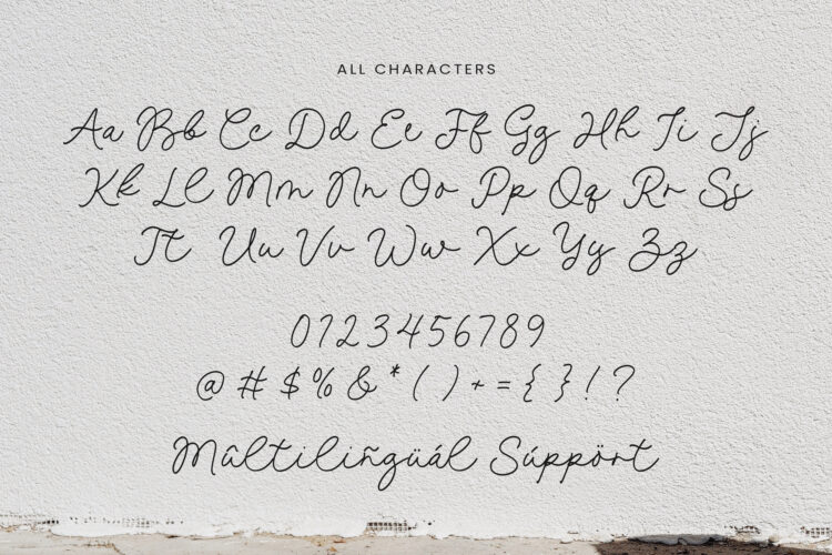 Hamlin Emilia - Monoline Script Font - Image 6