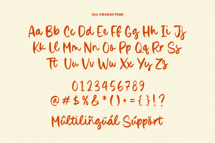 January Colier - Bold Handbrushed Font - Image 6
